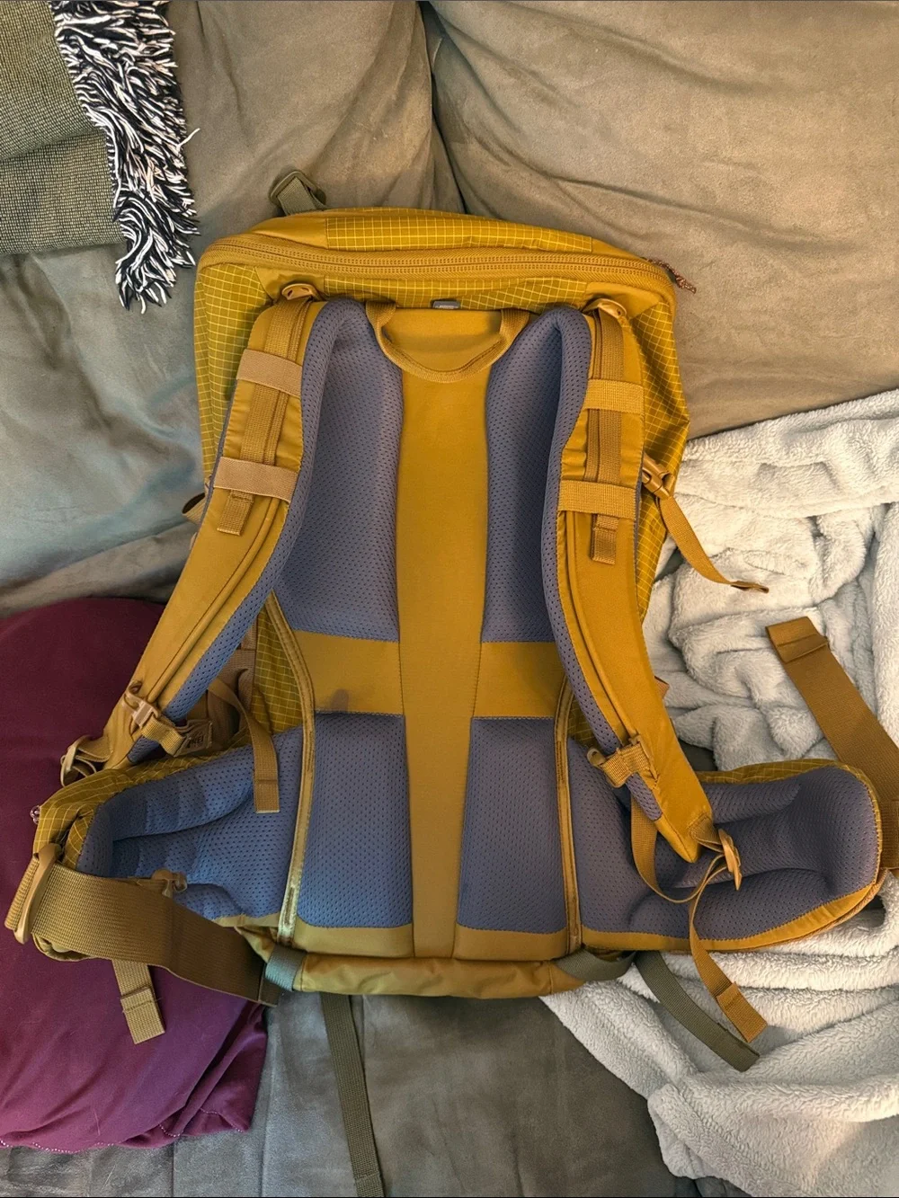 REI Men's Trail 40 Hiking Backpack - Mustard